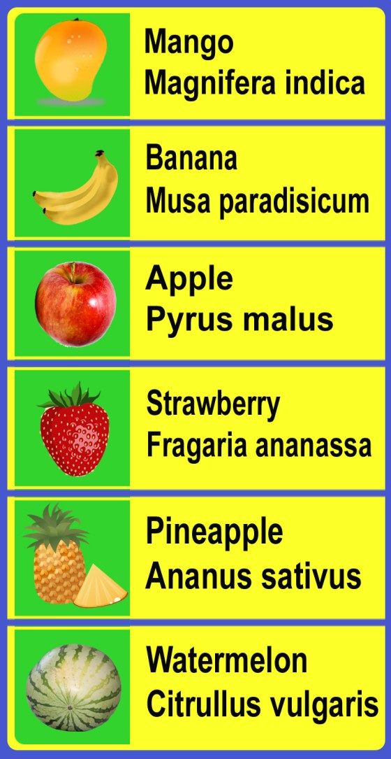 scientific-names-of-common-plants-and-trees