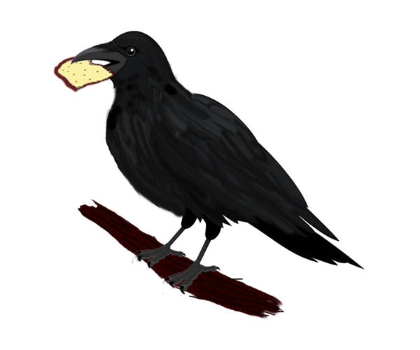 crow with bread