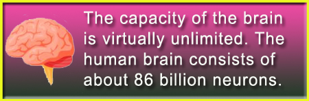 Capacity of Brain
